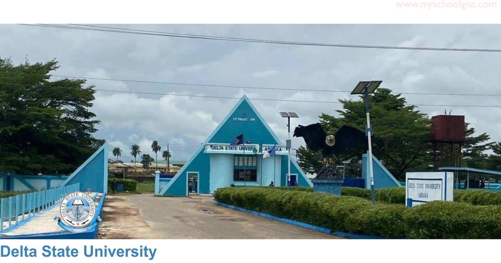 DELSU Diploma Admission Form