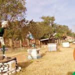 FUE Pankshin Post UTME/DE Form for 2025/2026 Admission