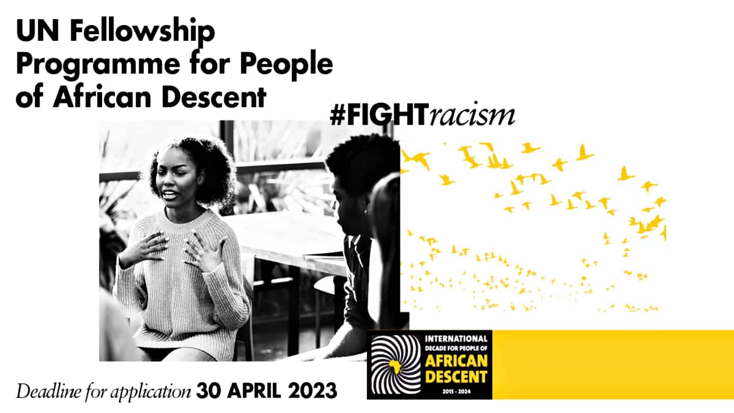 UN OHCHR Fellowship Programme