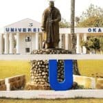 Igbinedion University 23rd Convocation Ceremony 2025