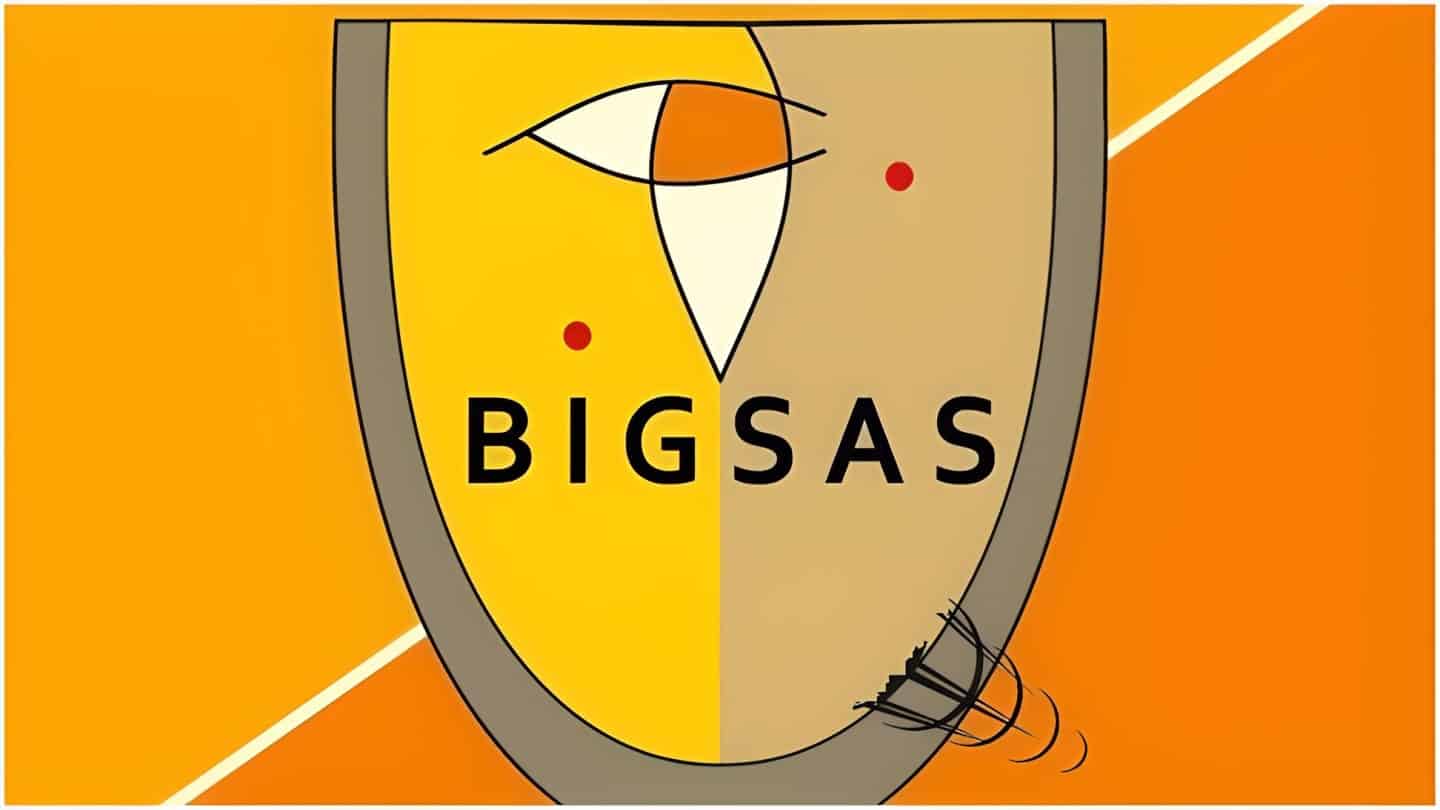 BIGSAS Scholarships for African Women Scholars