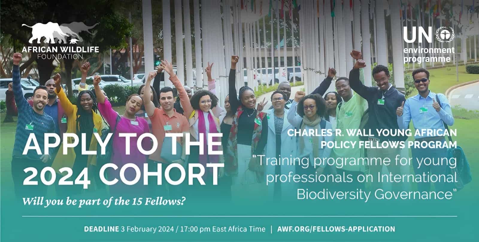 Charles R. Wall Young African Policy Fellows Program