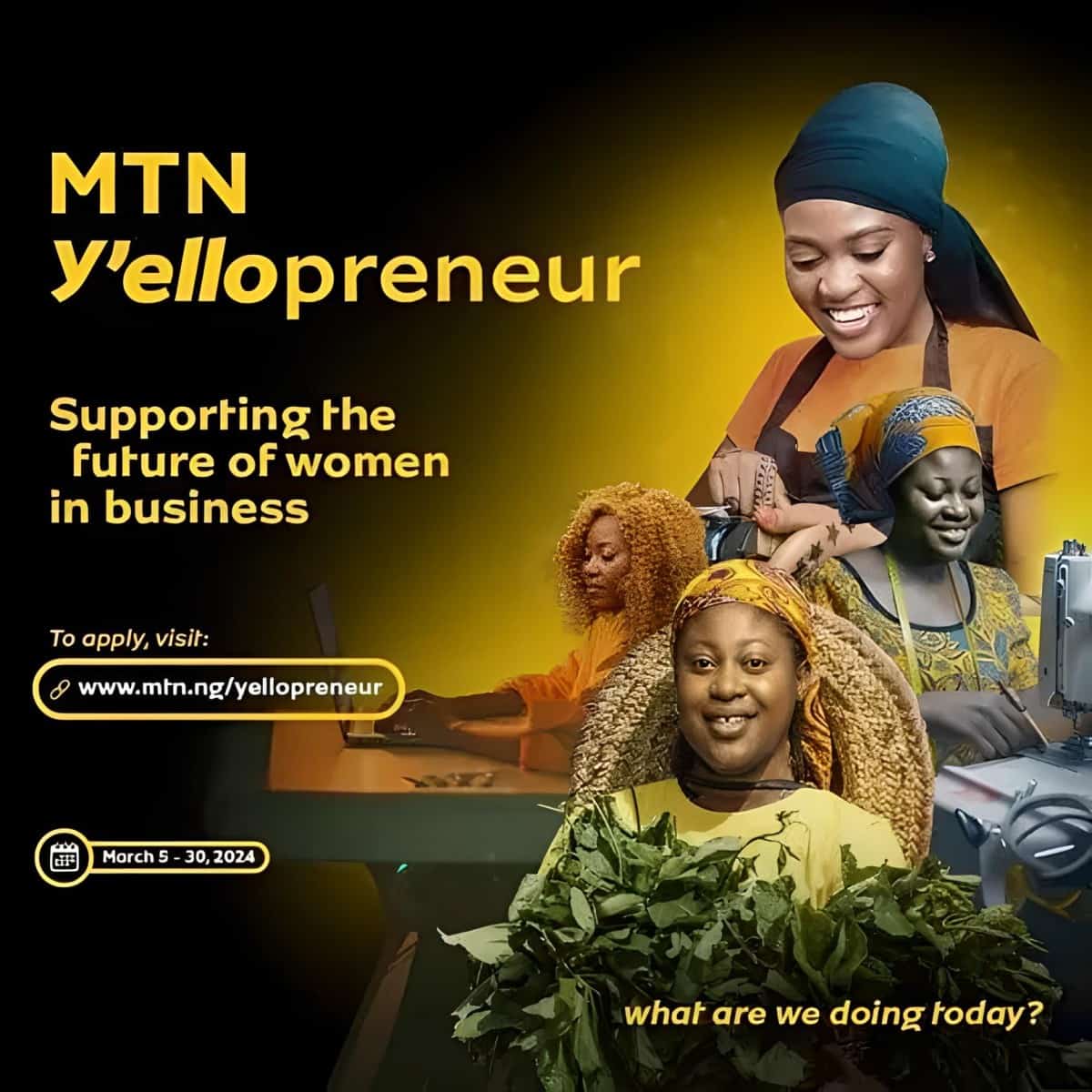 MTN Foundation Y'ellopreneur Program