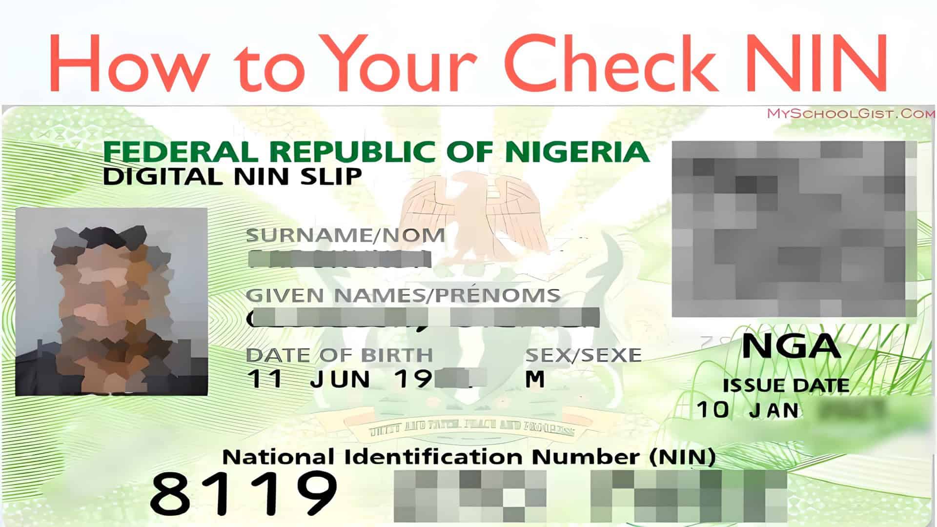 How to Easily Check Your NIN with Your Phone or Online