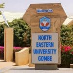 NEU-CDI Scholarship for Science and Technology 2026