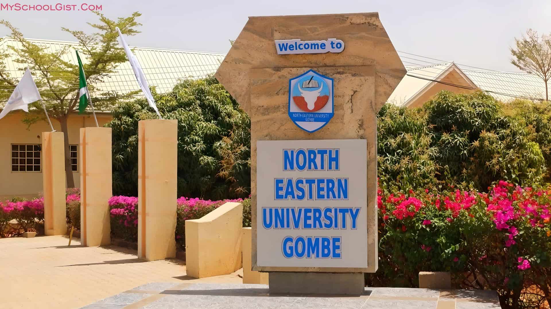 North-Eastern University Opens 2025 Post-UTME Admission