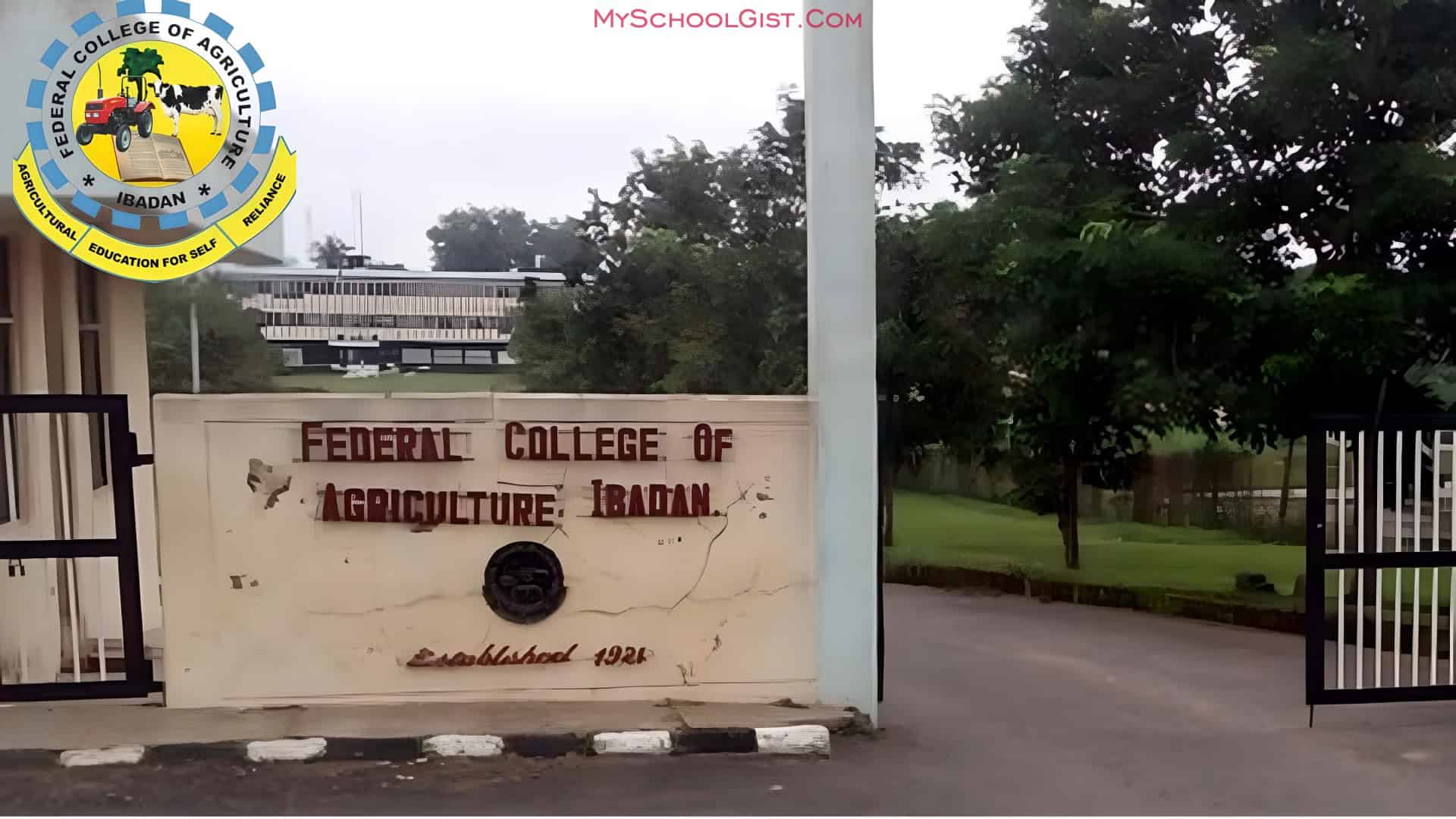 FCA Ibadan Opens Post-UTME Form for 2025 ND Admission