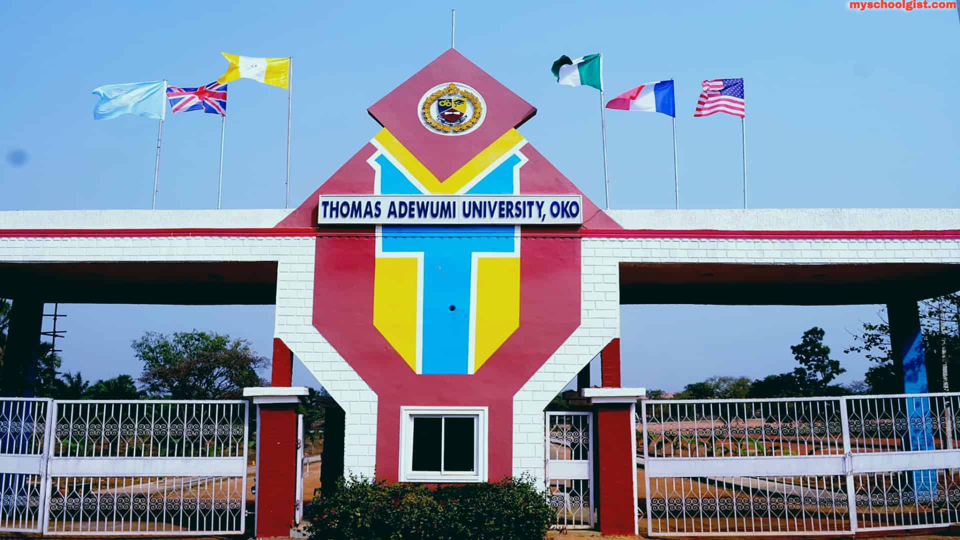 Thomas Adewumi University academic staff recruitment for 2026