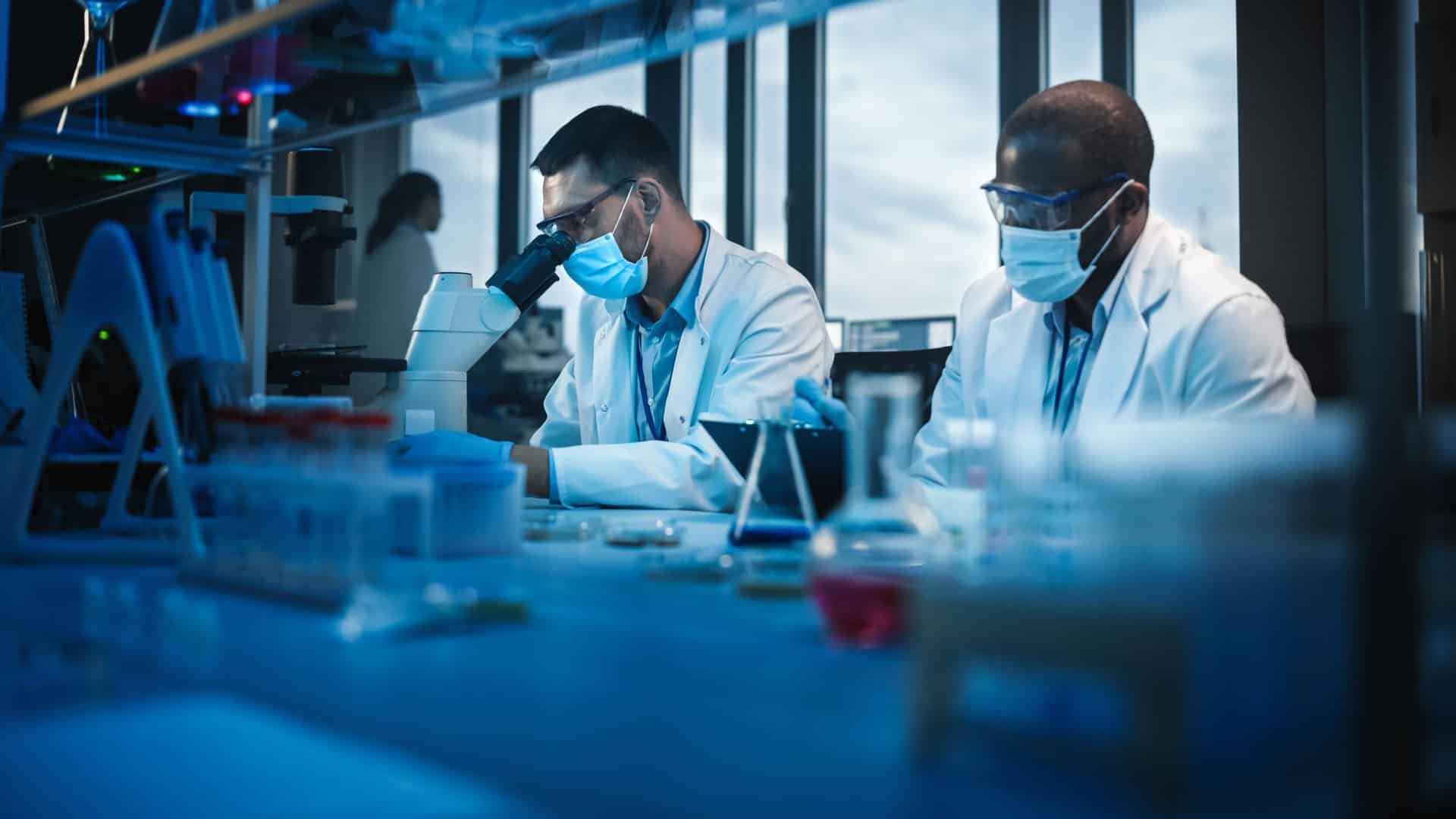 Coimbra Group Scholarship Programme 2026 Opens for Sub-Saharan African Researchers