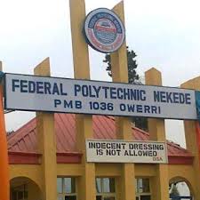 Nekede Poly Registration Procedure