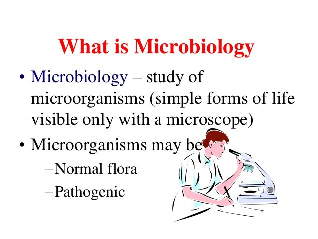 JAMB Subject Combination for Applied Microbiology