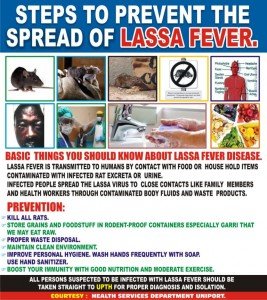 Lassa Fever Fact Sheet & How to Prevent the Spread • MySchoolGist