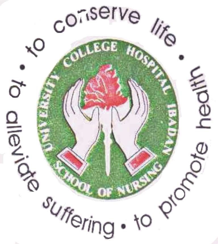 UCH Ibadan School Of Nursing Admission Form 2022 2023