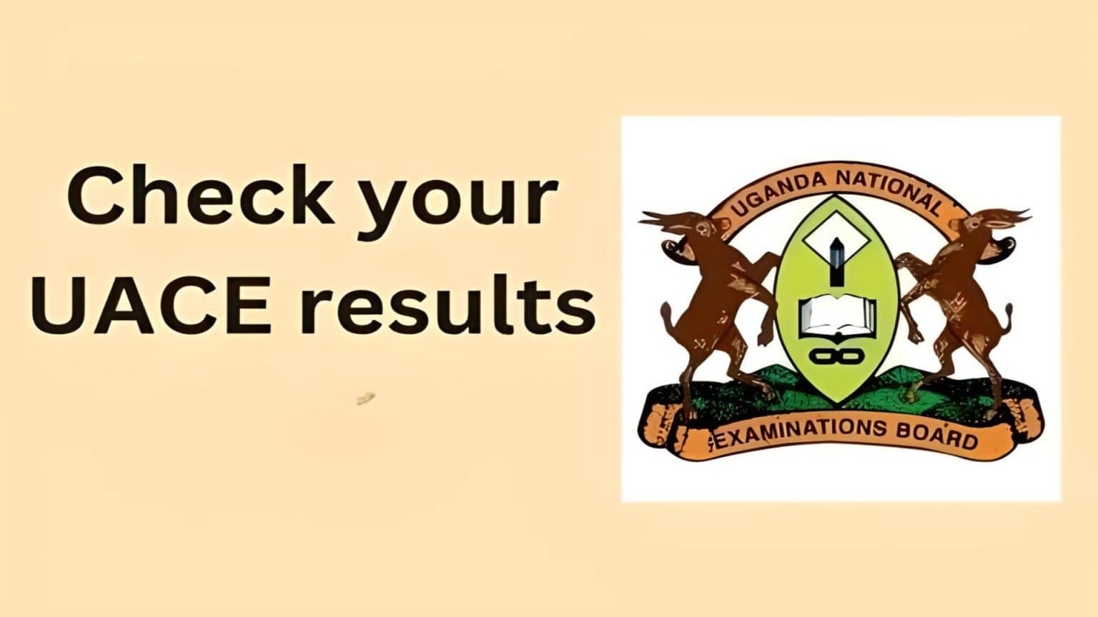 Quick Guide How to Check UACE 2024 Results Easily MySchoolGist