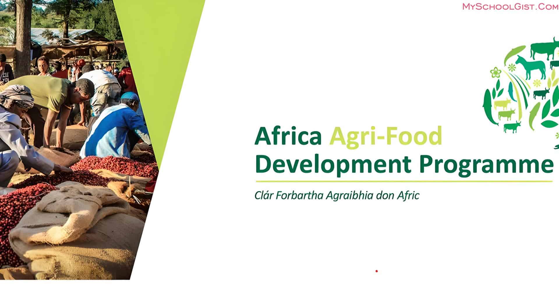 Africa Agri-Food Development Programme Grants 2024