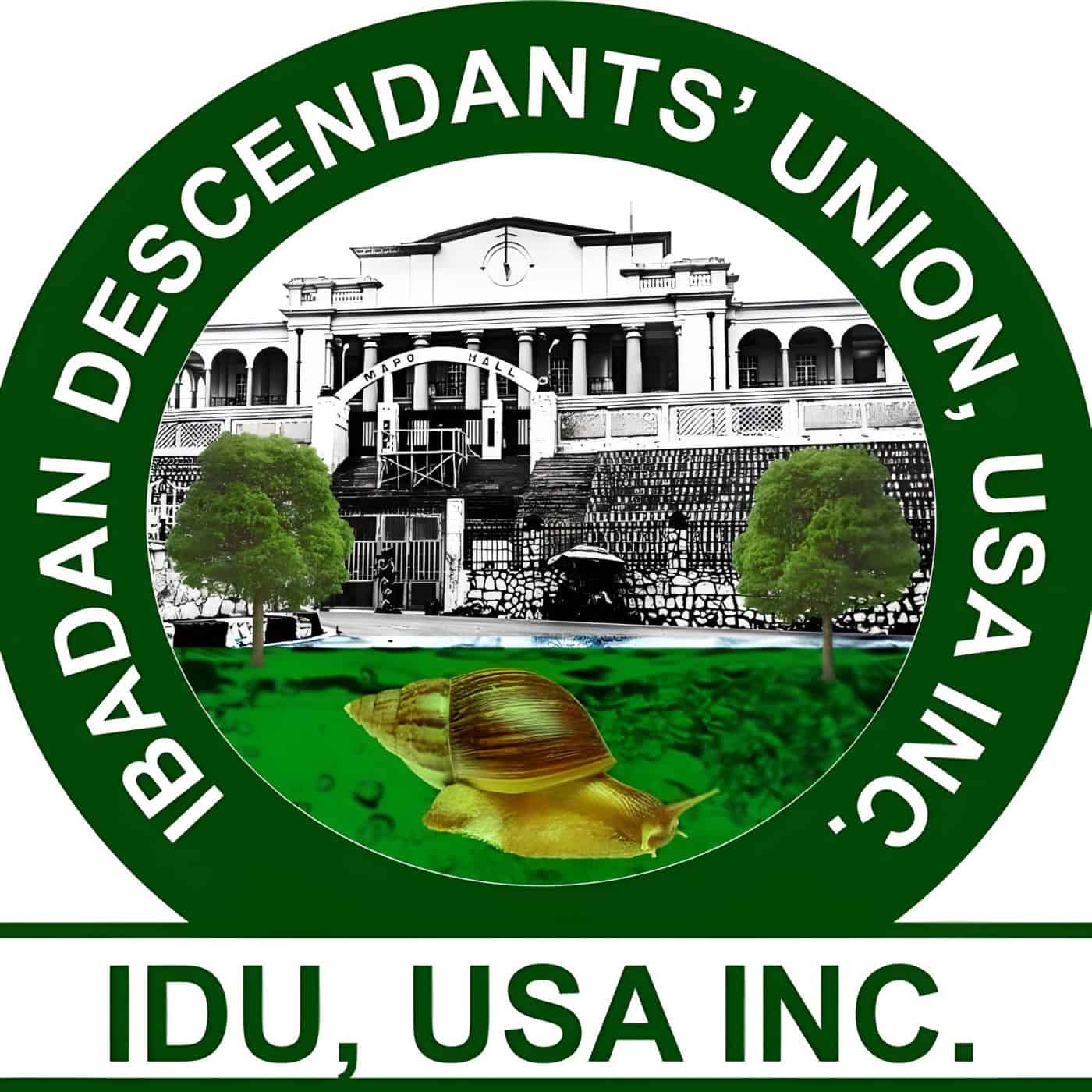 Ibadan Descendants' Union (IDU) Scholarship