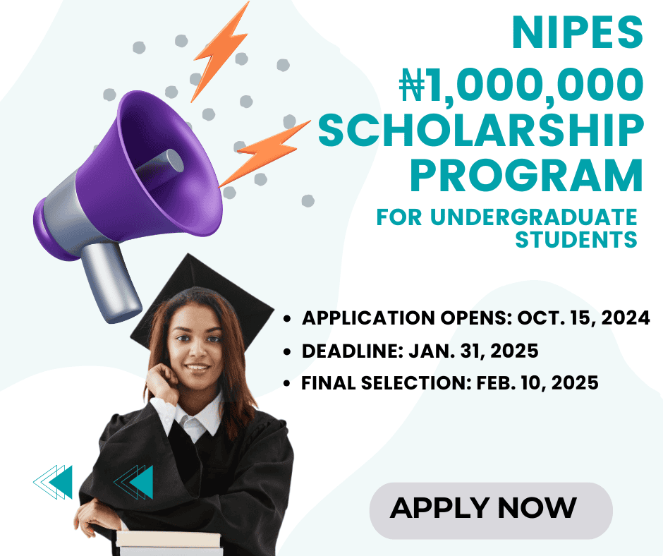 Apply for the NIPES Scholarship 2025