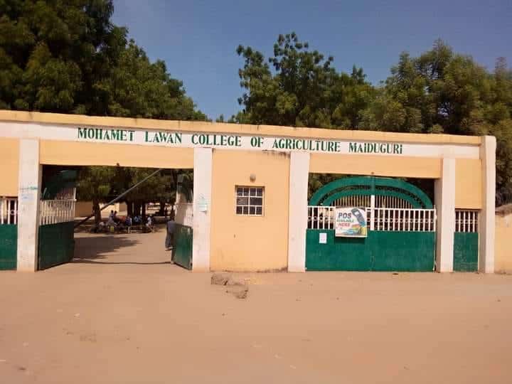 MOLCA Maiduguri Admission 2026/2027: Consultancy Service Unit Programmes