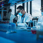 Coimbra Group Scholarship 2026 Application Guide